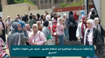 لو انتقلت مدرستك للبكالوريا من النظام القديم.. تعرف على خطوات التكيف السريع